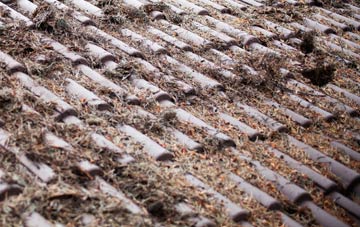 Westhall Hill roof cleaning companies